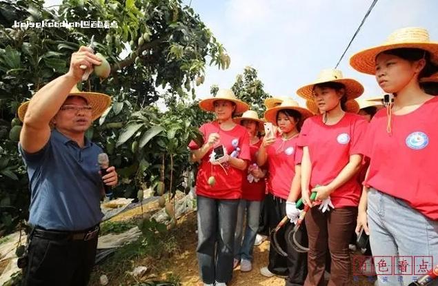 百色市总工会：“课堂+平台+师资”推动劳动教育走深走实 劳动,劳模,工匠,师资,教育