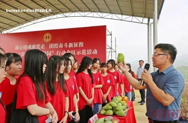 百色市总工会：“课堂+平台+师资”推动劳动教育走深走实 劳动,劳模,工匠,师资,教育