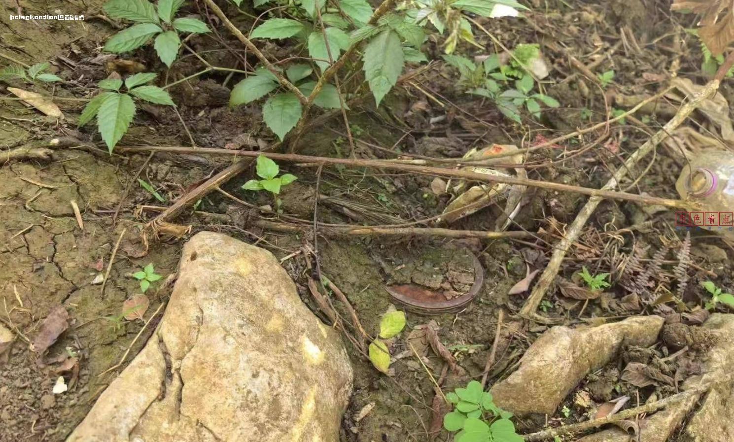 靖西市岳圩镇一村民在边境附近放羊时，在岩石旁发现两枚地雷 地雷,边境,发现,两枚,人员