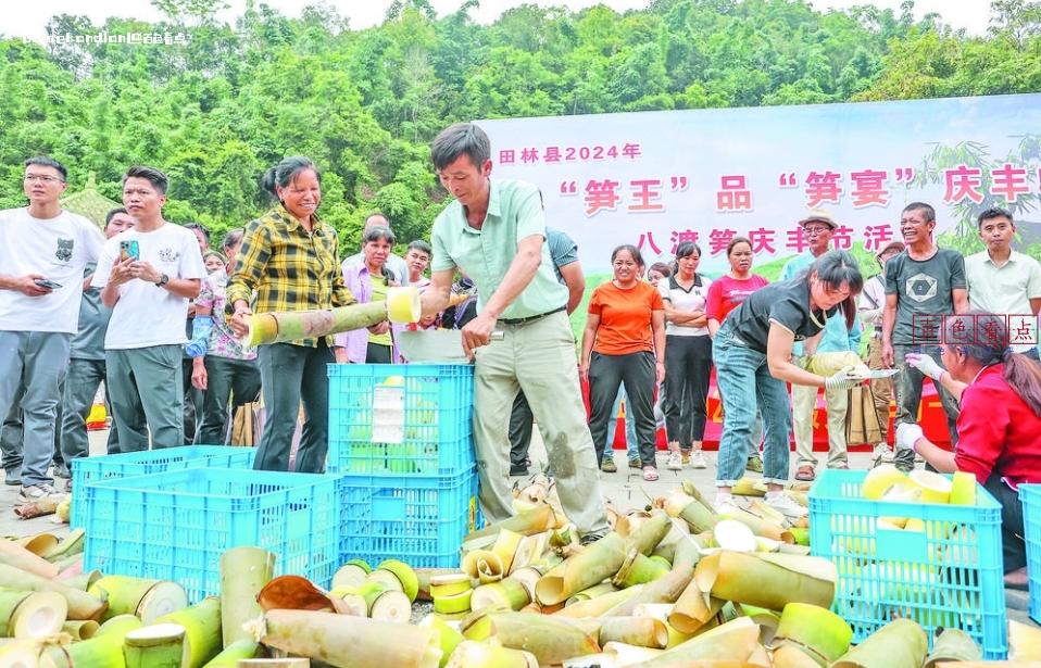 评“笋王” 品“笋宴”  田林举行八渡笋庆丰节活动 八渡,林县,活动,产业,lsquo