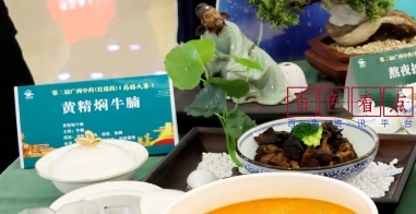 百色市代表队在广西第二届中药（壮瑶药）药膳大赛总决赛获佳绩