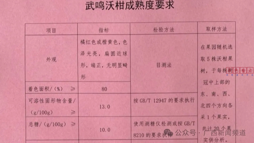 多机构发出倡议！武鸣沃柑不宜提前上市 南宁市,武鸣区,武鸣沃,11月,26日