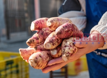 凌云河洲村的红薯粉弹、滑、香，一定要去尝一尝！ 晾晒,粉丝,洲村,粉皮,薯粉